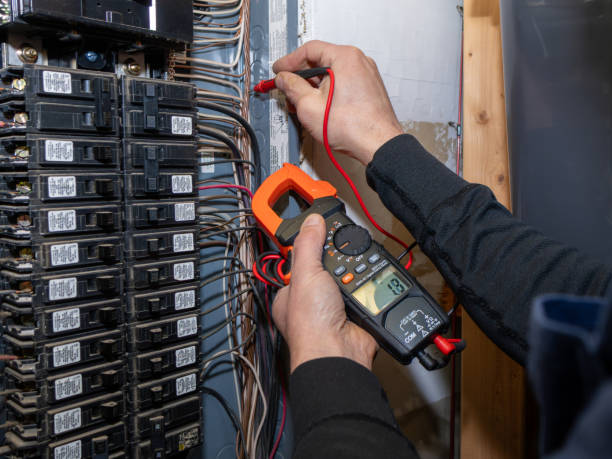 Best Ceiling Fan Installation Electrician  in Spirit Lake, ID